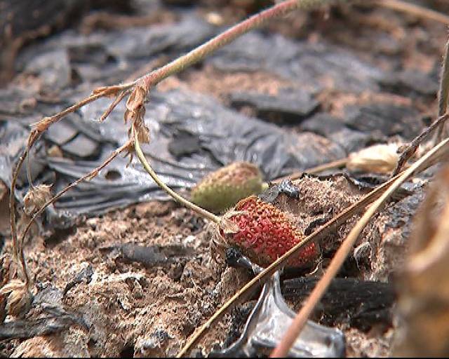 热RE99久久精品国99热 为中国市场注入更多活力