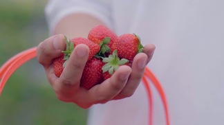 情定北海岸 北海可边用餐边听浪声