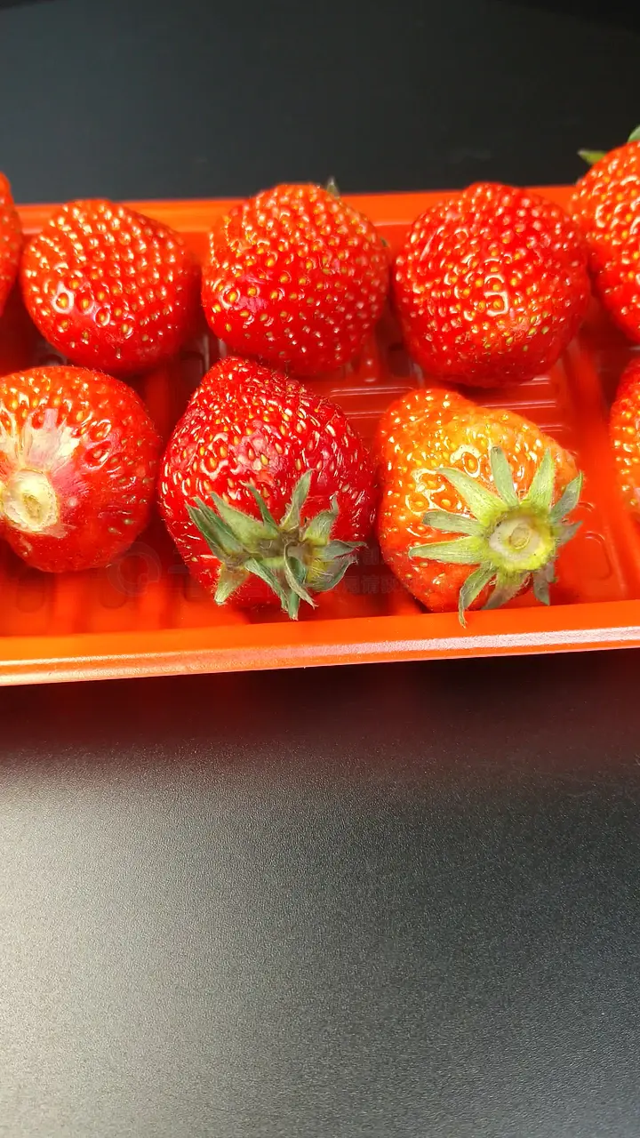 91超碰国产在线