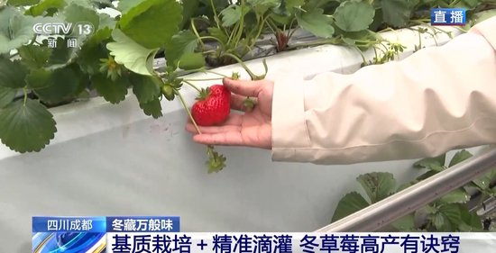 精品免费囯产一区二区三区四区