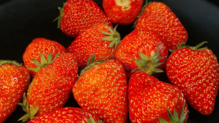 欧美日韩免费AⅤ精品视频 日韩它能隐藏你的免费IP地址