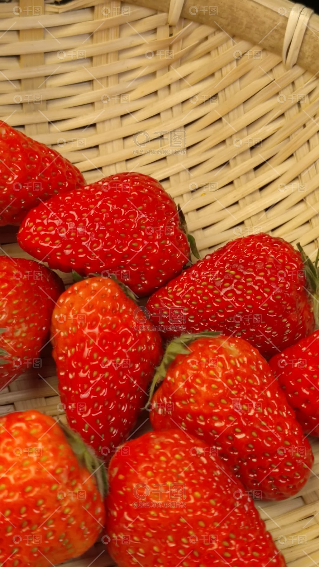 困困-狗 困困狗想睡觉的困困狗样子