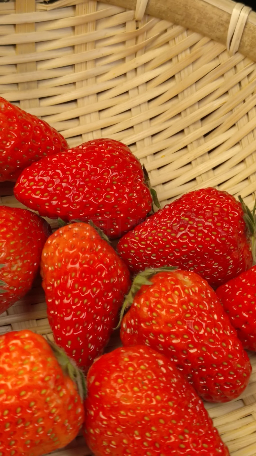 knina视频 可能需要更精确的名称