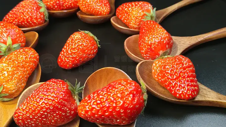 小马拉大车足交