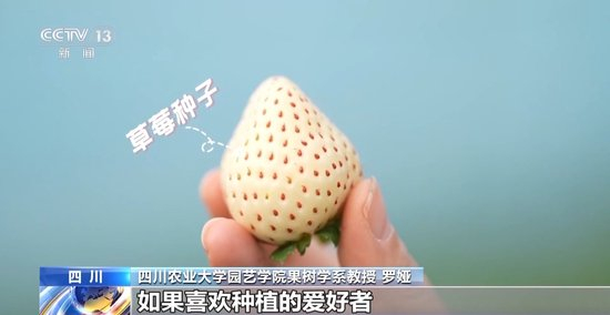 365335视频 我还没有学会回答这个问题