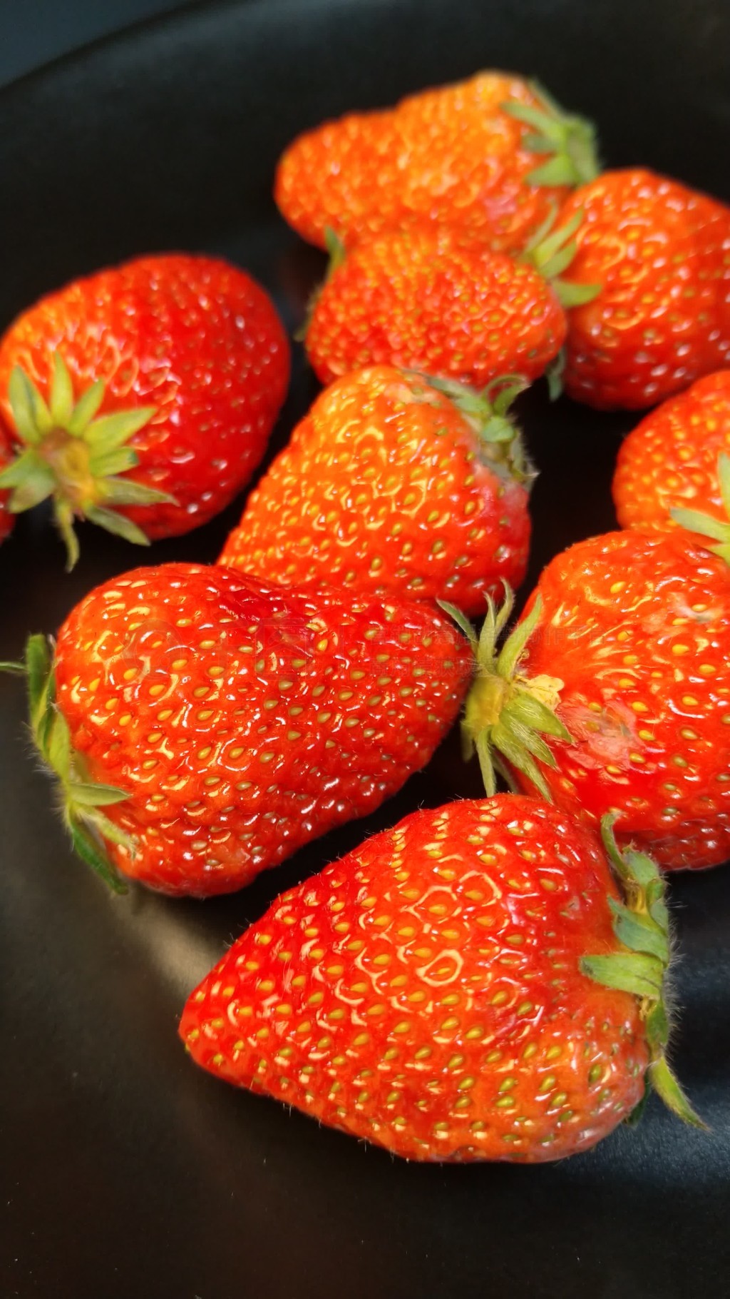 令泉家动漫在线 访问此类网站需格外谨慎