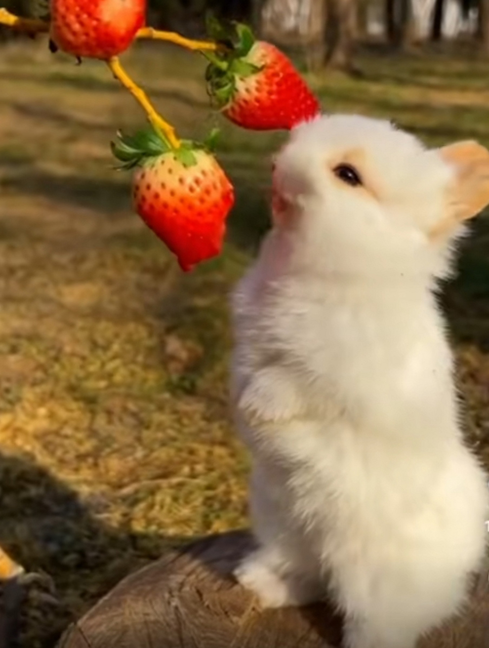 51爆料网每日一赛