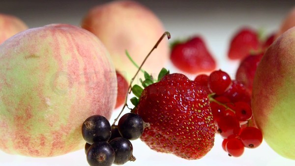 小马拉大车成人 小马车成车成对不起