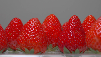 吃瓜网回家入口吃瓜黑料今日在线海角免费下载黑料今日黑料热门黑料 家入今日信息真伪混杂