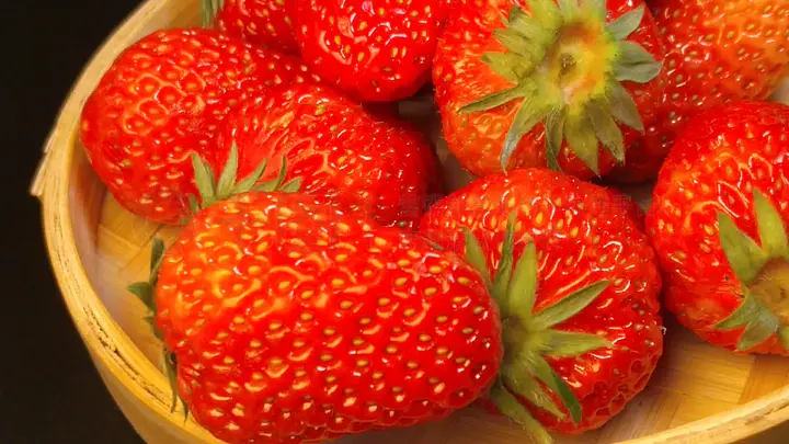 异形3d 同人 一般不以盈利为目的异形