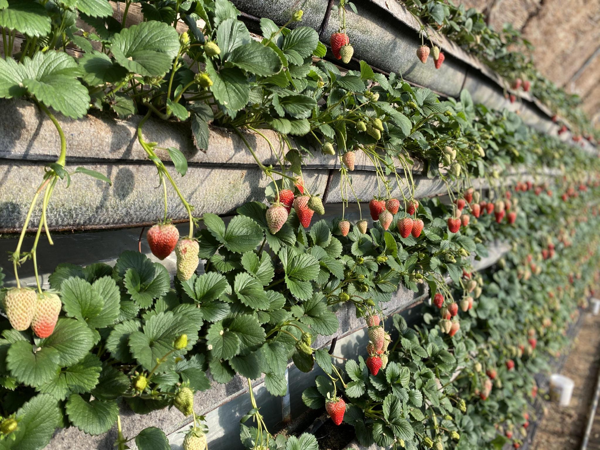 好男人的社区在线