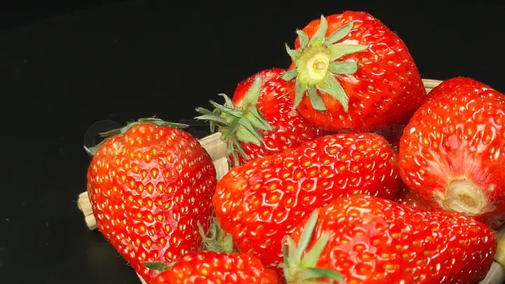 2333动漫 当动画出现搞笑情节时