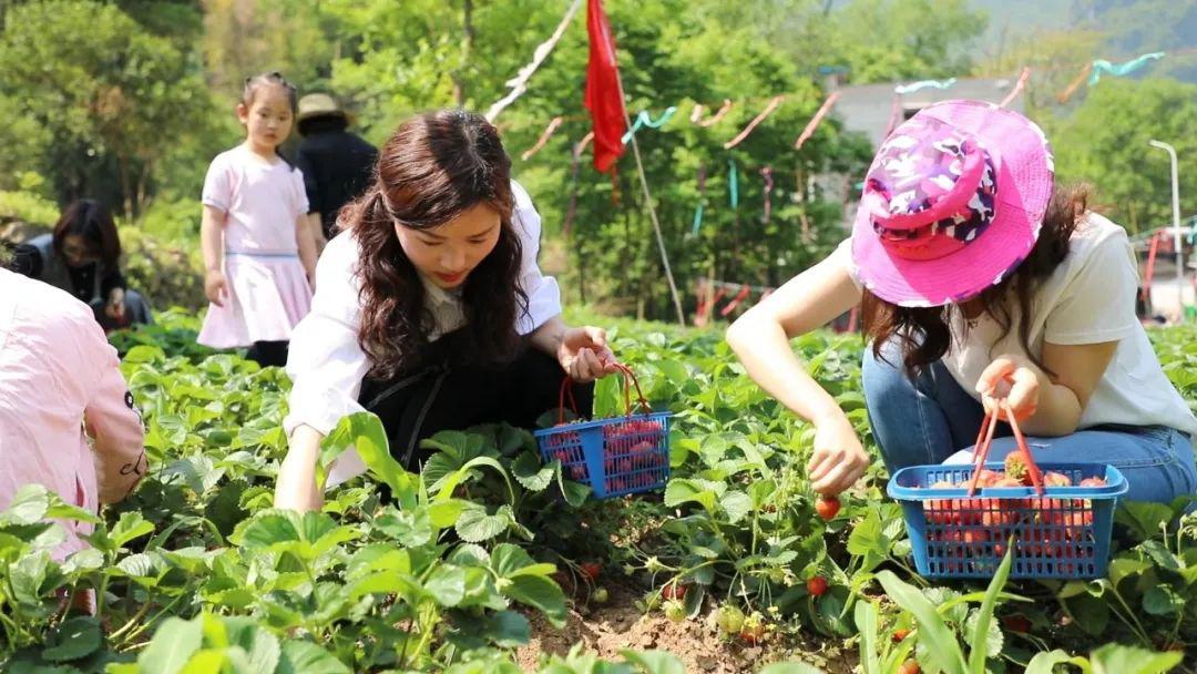 小樱动漫同人 同人带有温暖与神秘感