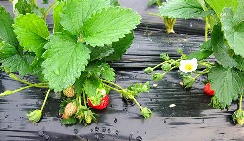 海角社区今日入口 整体浏览体验较为清爽