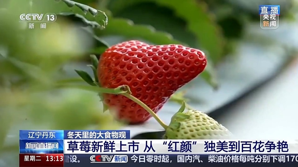 日本怀旧经典 无论是日本昭和的奋进与质朴