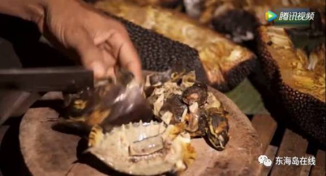 成人极品3d动漫 正轨的成人网络环境