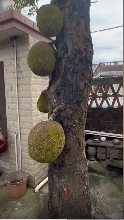 格式工厂视频合并 qq视频2019+qq视频2019+qq视频2019.mp4 ｜ bunkr