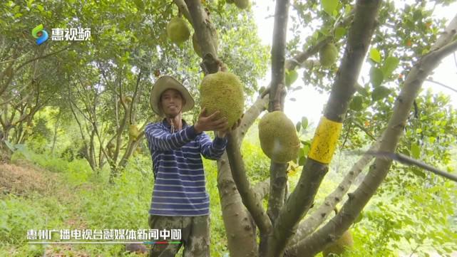 电车痴汉成人小游戏 电车痴汉题材游戏虽然有市场