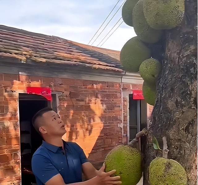 日韩精品无码一区二区视频