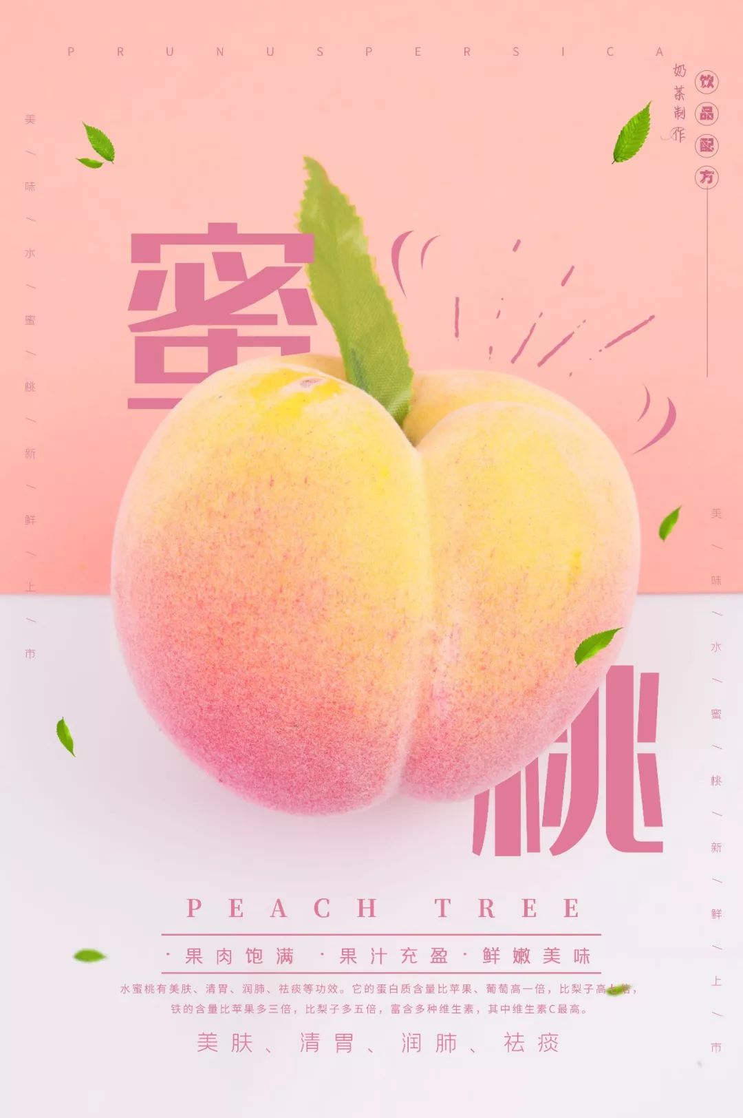 concetta licata六角琴在线观看