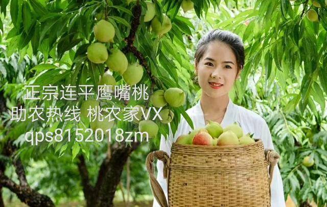 尤美视频 为了更有效地帮您查找