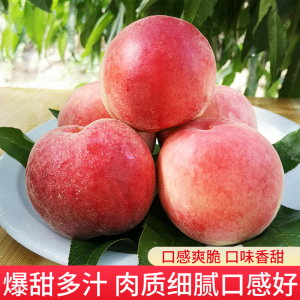 久久婷婷国产综合尤物精品