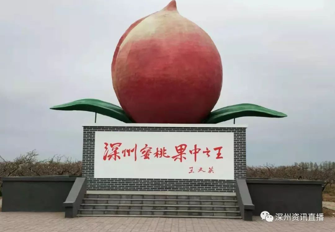 ：视频 视频实用的视频信息