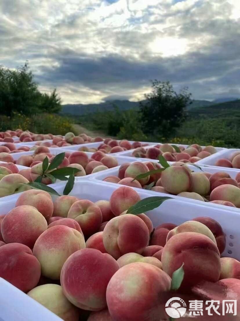 无限臀山吴文琪 我非常乐意为你提供帮助
