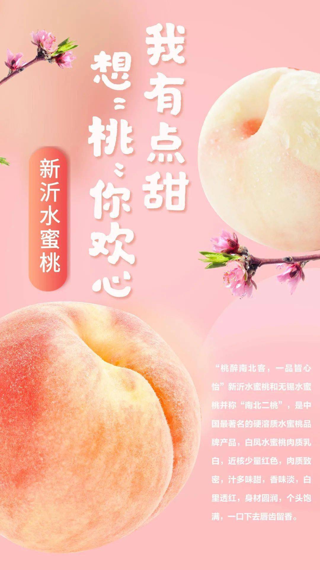 海角社区连载专区