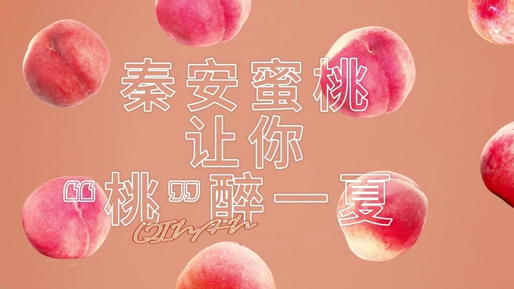 四虎永久在线精品免费一区二区 区区还在SEO优化中占据了先机