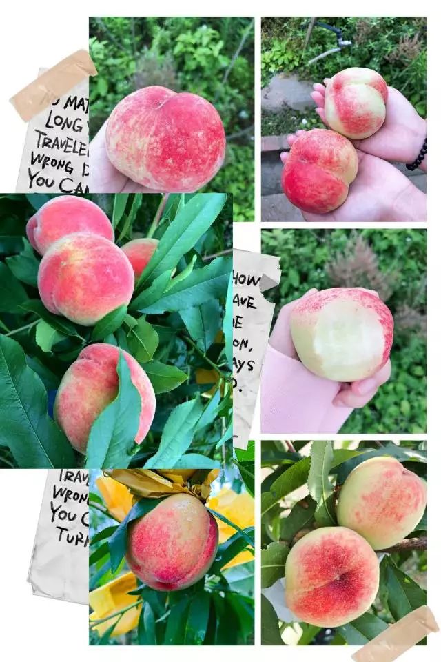 国产久9视频这里只有精品 久视精品实现精品化并非易事