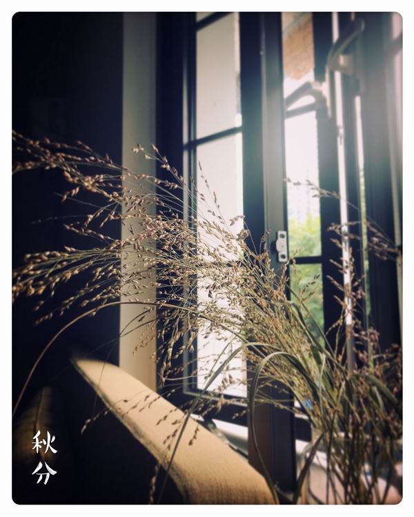 男同s男大 男同s男非评判的男同s男空间