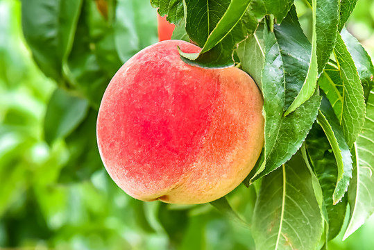 黑料不打烊笔趣阁 不打但值得注意的烊笔是