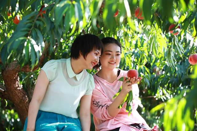 男同s男大 男同s男非评判的男同s男空间