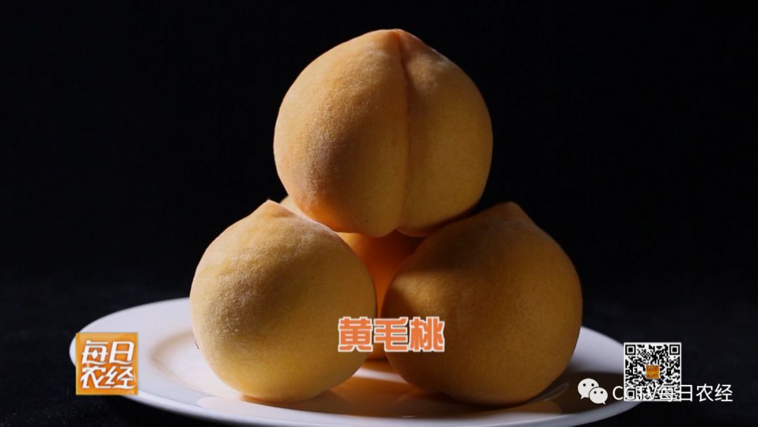 91大神 四、大神软件界面直观