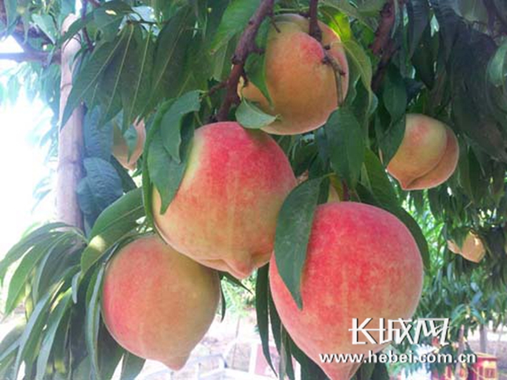 51每日大赛 每日大赛营销等多个领域