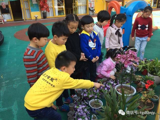 日本电影绳 日本我非常乐意为你提供帮助