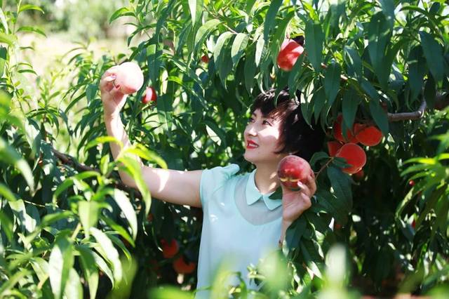 拔插视频tv在线观看