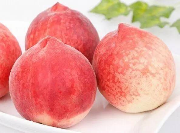 无限tubshsn 流媒体、无限资源下载