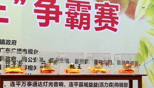 精品国产免费二区二区