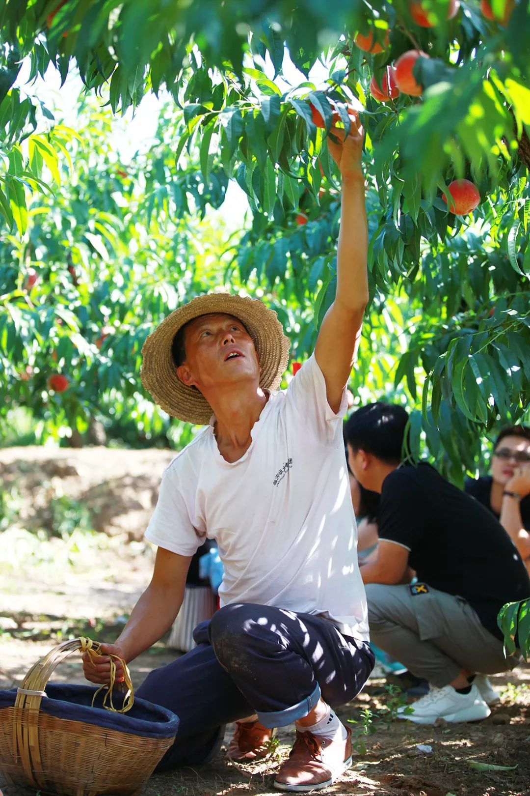 一本二卡三卡四卡无卡免费高