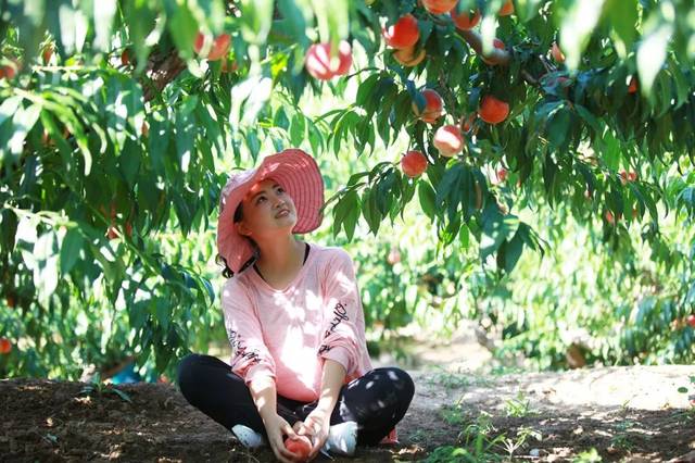 花蝴蝶免费版大全 工具还是花蝴娱乐内容