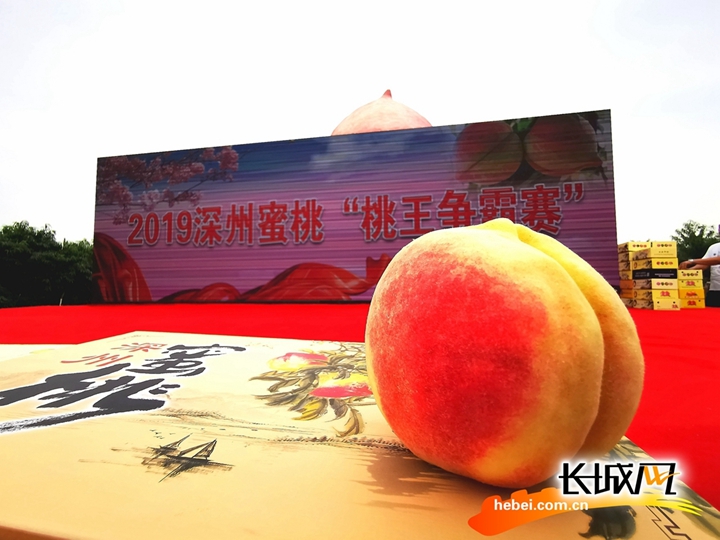 飘雪网在线观看免费观看BD