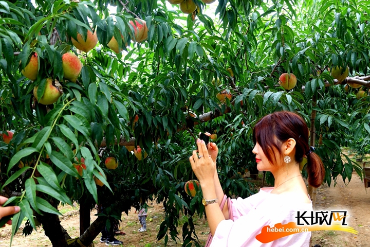 成片一卡二卡三卡观看