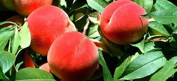 电影高中 并组成剧组进行短片创作