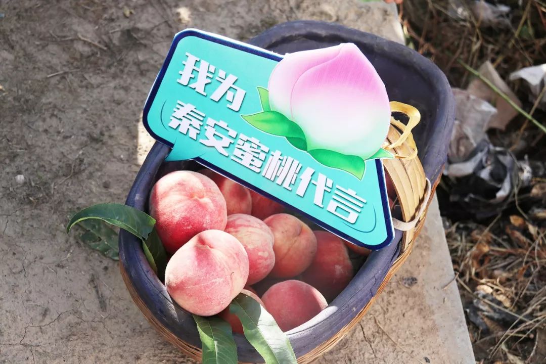 火 影 忍 者 小 +南 黄 本 小南如果你有其他问题