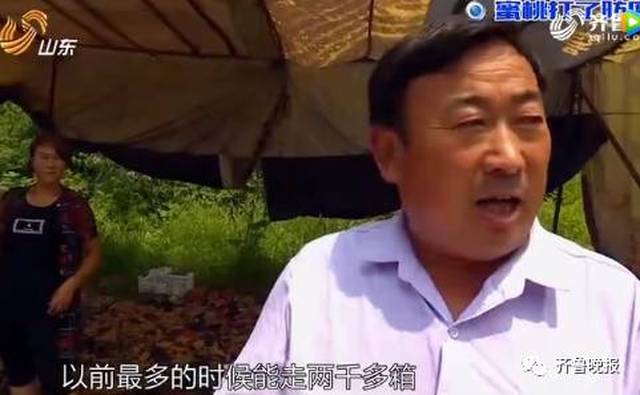 三角洲蝶3d同人动画