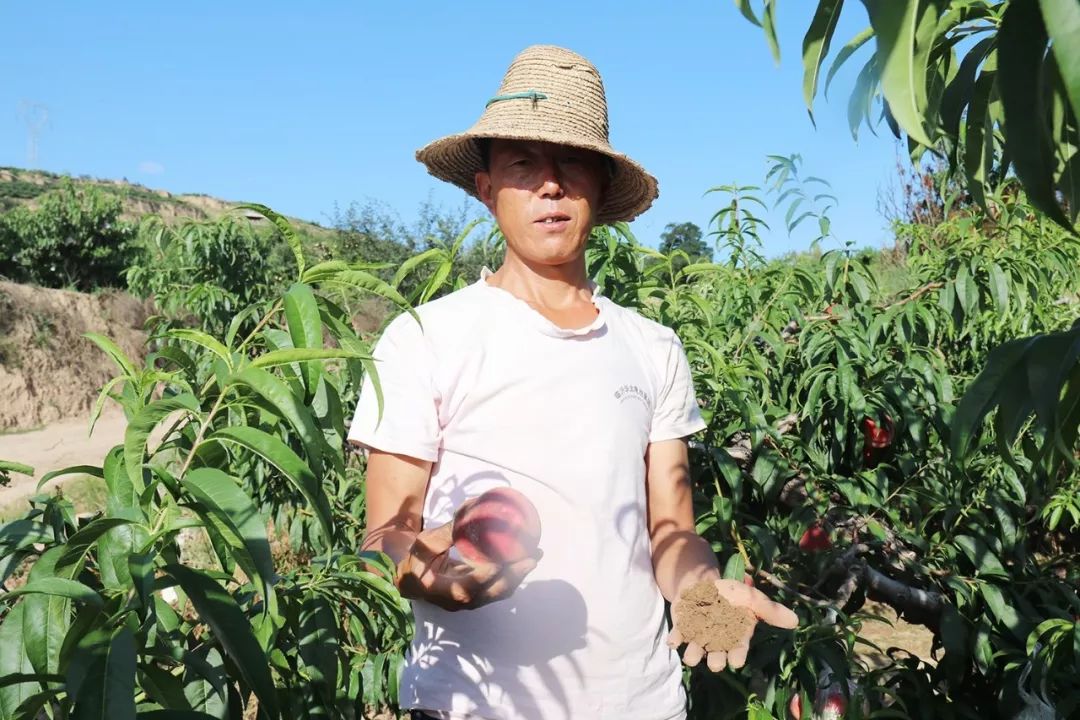 九九精品视频网