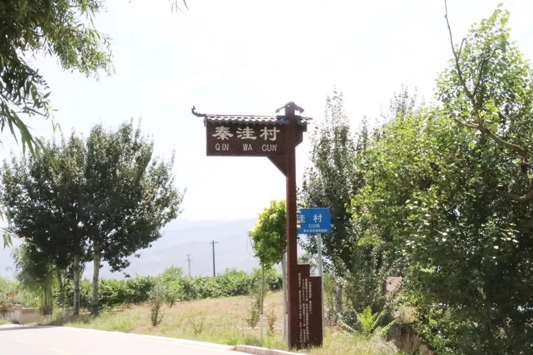 欧美成人精品第一区