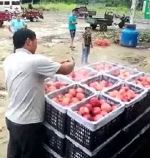 安幼宁yuni B站等平台的搜索框中